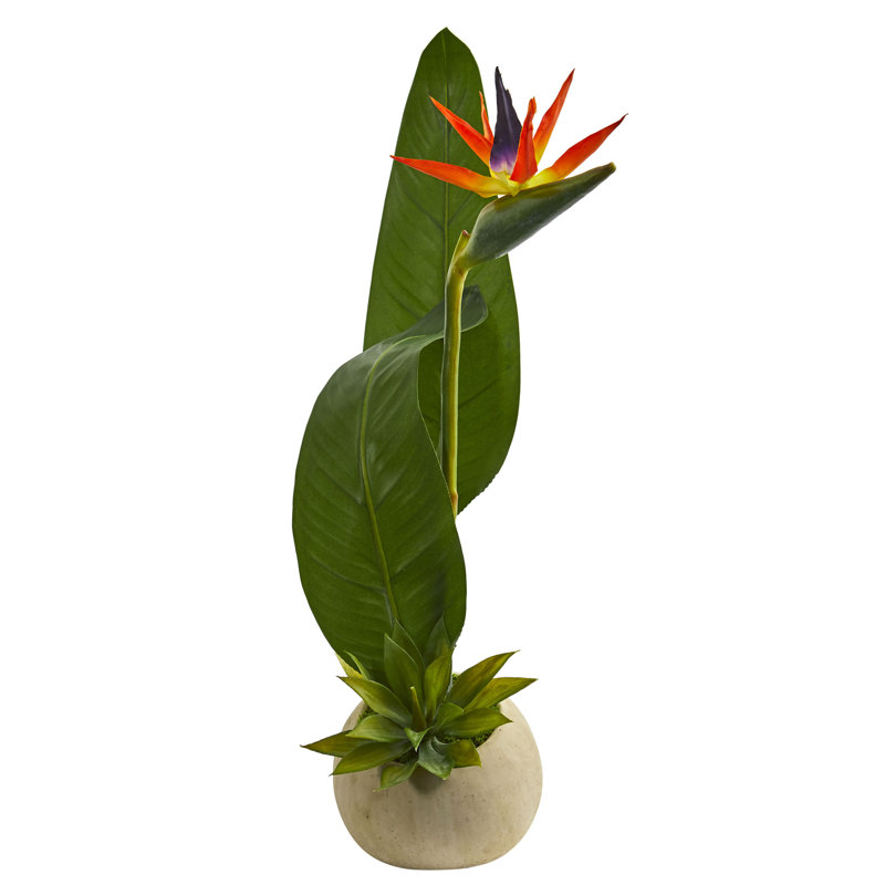 Wrought Studio Artificial Bird of Paradise and Floral Arrangement in